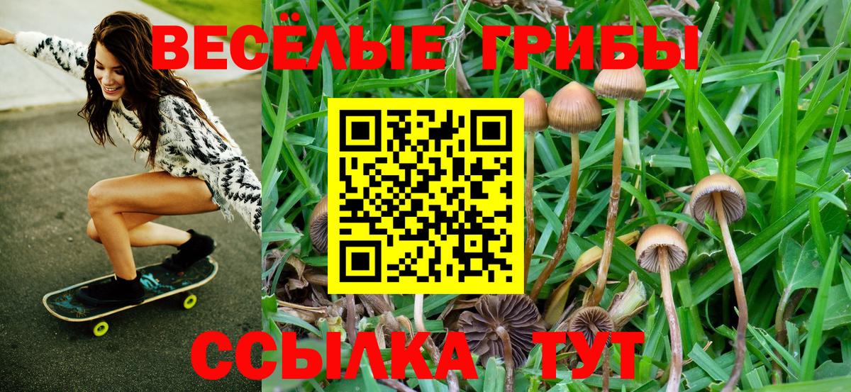 Псилоцибиновые грибы GOLDEN TEACHER Шебекино